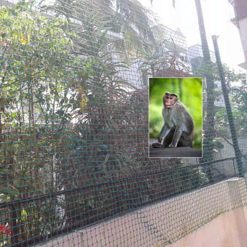 Balcony Safety Nets in Hyderabad